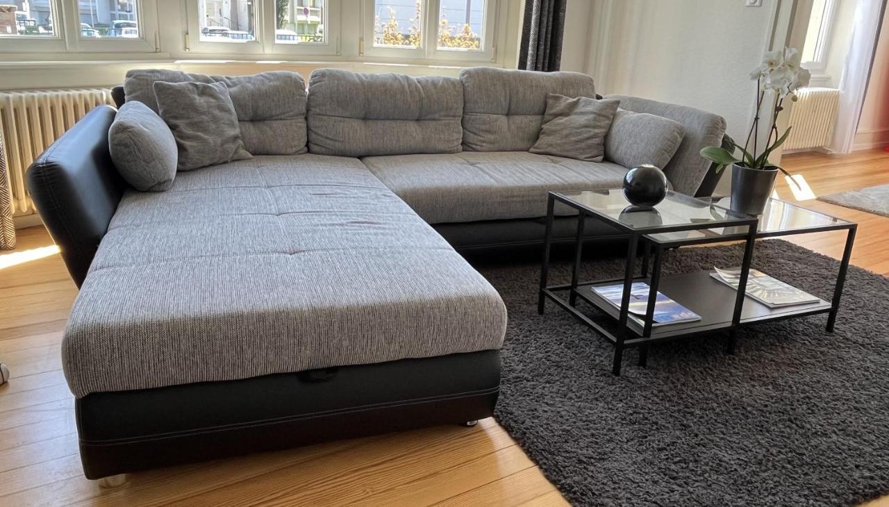 Appartement De Prestige Au Centre Climatise Avec Jardin Prive Colmar Exteriör bild