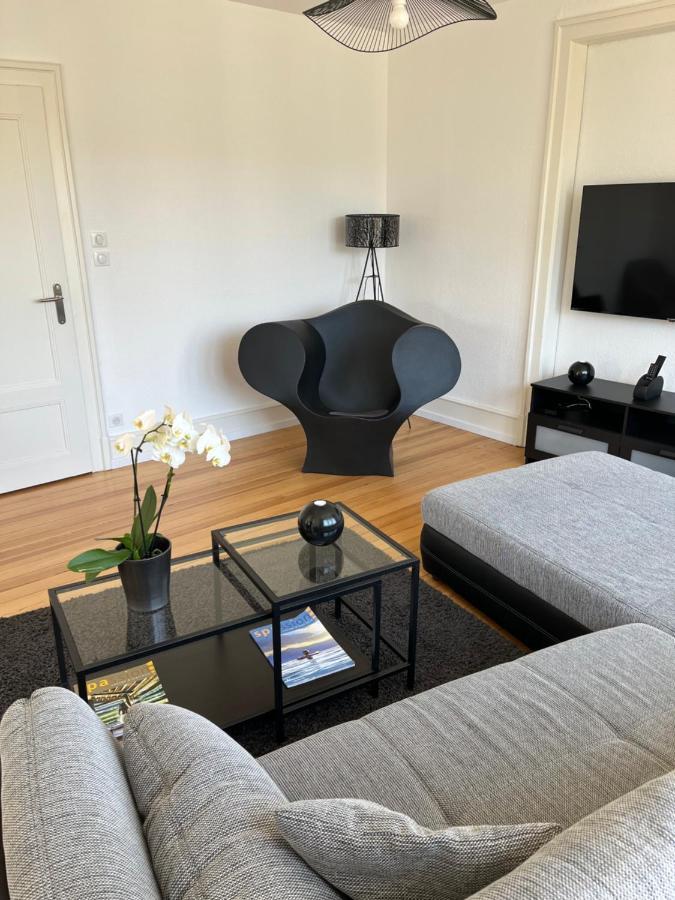Appartement De Prestige Au Centre Climatise Avec Jardin Prive Colmar Exteriör bild