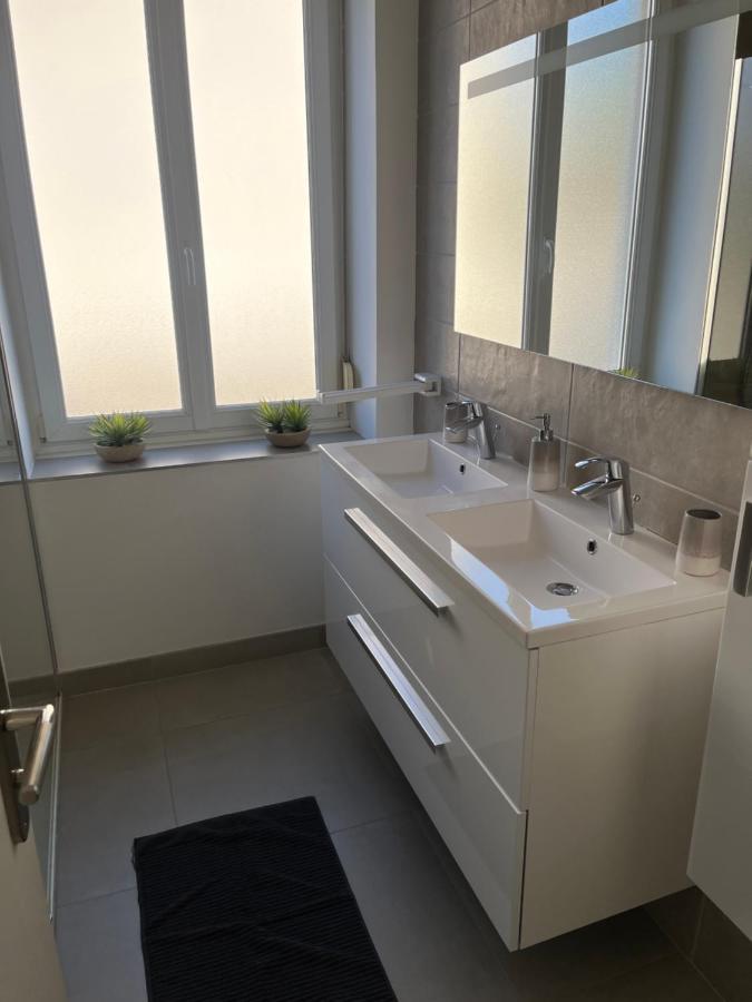 Appartement De Prestige Au Centre Climatise Avec Jardin Prive Colmar Exteriör bild