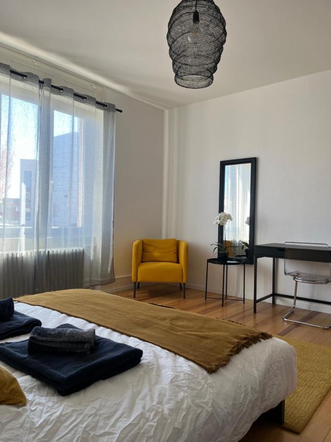 Appartement De Prestige Au Centre Climatise Avec Jardin Prive Colmar Exteriör bild