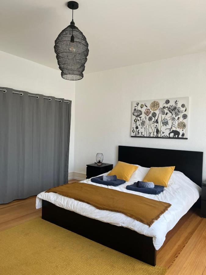 Appartement De Prestige Au Centre Climatise Avec Jardin Prive Colmar Exteriör bild