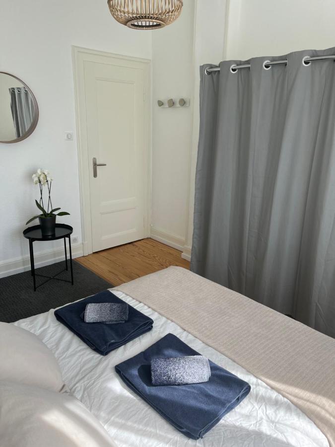 Appartement De Prestige Au Centre Climatise Avec Jardin Prive Colmar Exteriör bild