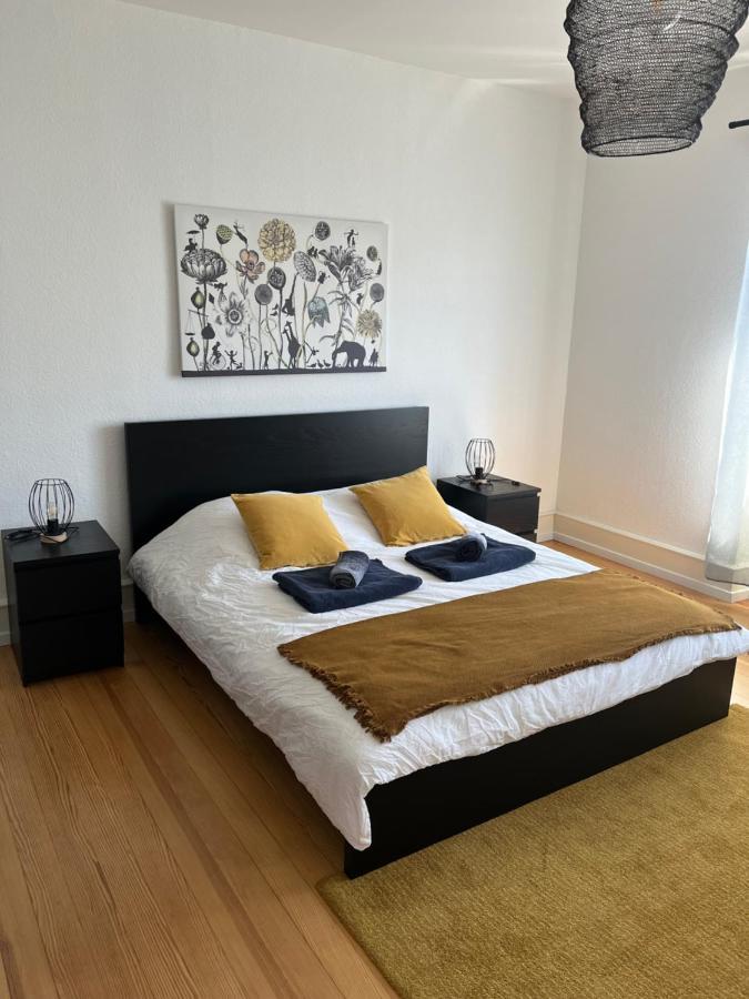 Appartement De Prestige Au Centre Climatise Avec Jardin Prive Colmar Exteriör bild