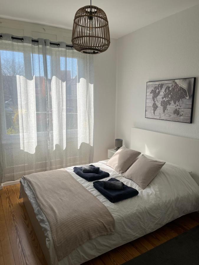 Appartement De Prestige Au Centre Climatise Avec Jardin Prive Colmar Exteriör bild
