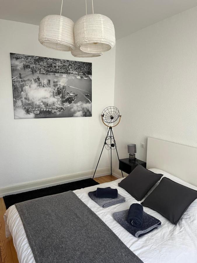 Appartement De Prestige Au Centre Climatise Avec Jardin Prive Colmar Exteriör bild